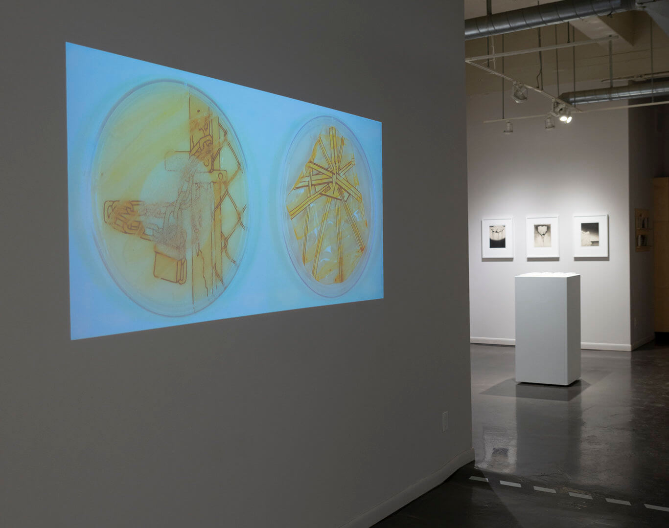 Installation view of Inversion. Video: Retrograde by Jill Ho-You. Two-channel time lapse. 2019. Image credit: Sarah Fuller.